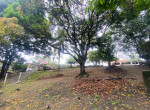 WhatsApp Image 2026-01-26 at 09.02.11